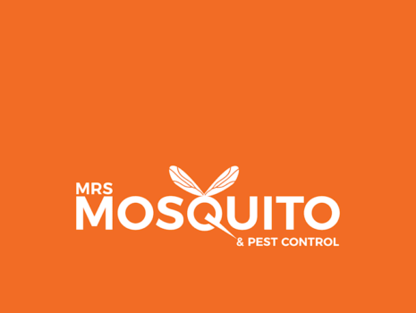 Mosquito